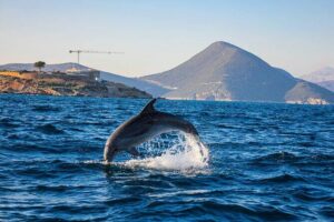 Blue Cave Kotor & Lady of the Rocks Private Tour (up to 9 people) - Starting in the old town: your easy boarding plan