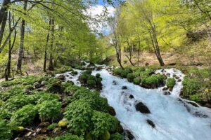 Durmitor - Black Lake & Tara River Canyon - North Montenegro tour - Durmitor National Park: UNESCO status and your one-hour hit