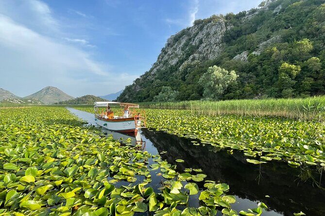 Explore Skadar Lake in Private 2 hour Boat Cruise - Bird reservation channels: water lilies, reeds, and Morača waters