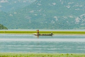 Skadar Lake National Park Guided Boat Tour with Wooden Boat - Stop 1: Virpazar village vibes before you slide out