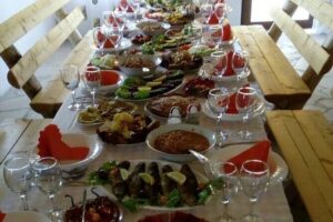 TASTE OF MONTENEGRO - Gastro Private Tour of wine and food - Pickup, vehicle comfort, and how the timing usually plays out