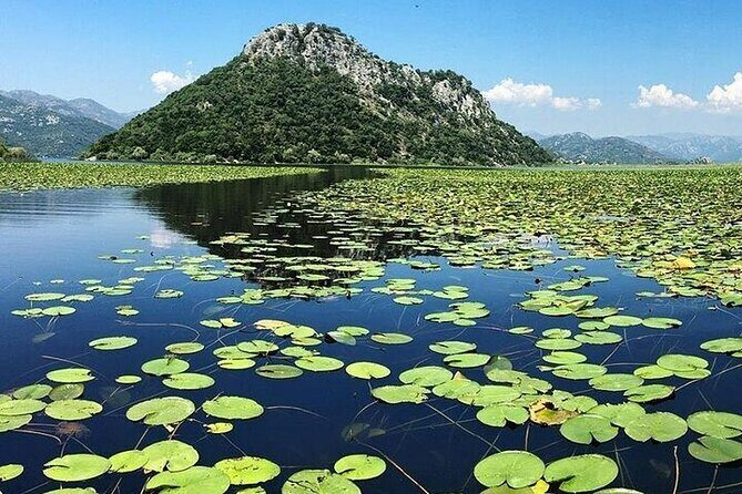 Virpazar Skadar Lake National Park Guided Boat Tour - Start on the river channel: greenery and calm momentum